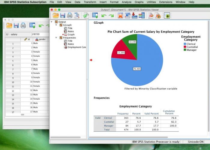 Ibm Spss 25 Download For Mac